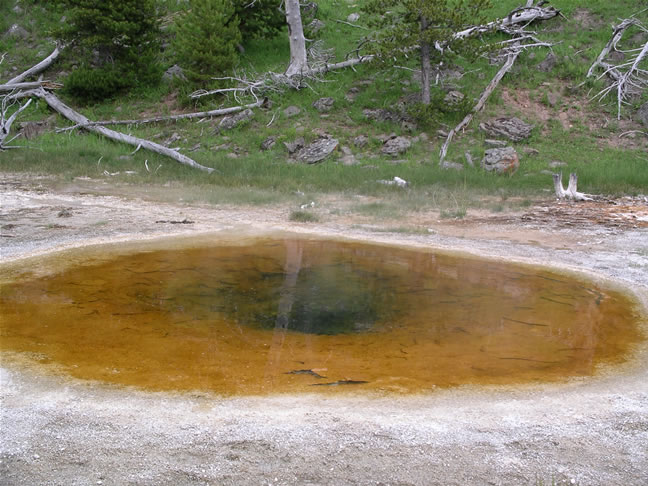 images/A-Geyser (4).jpg